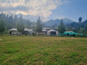 Un campo con un grupo de tiendas de campaña y árboles. en Oak Valley Camp, en Mussoorie