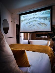 TV a/nebo společenská místnost v ubytování Suite Japonaise Pezenas