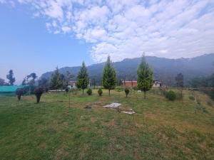 un campo con árboles en la cima de una colina en Oak Valley Camp, en Mussoorie 1 foto más