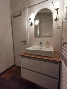 a bathroom with a sink and a mirror at Ferienhaus Bärenloch in Hilders