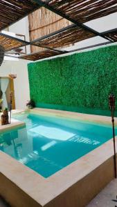 een groot zwembad met een groene muur bij Bellooceano in Playa del Carmen
