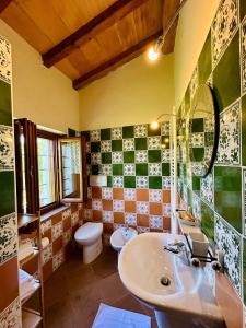 a bathroom with a sink and a toilet at Agribirrificio Corte Petacchi in Volta Mantovana