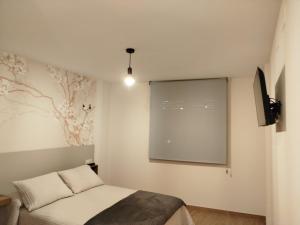 a bedroom with a projection screen and a bed at Hotel Rural El Pingón in Manzanal de Arriba
