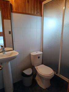 een badkamer met toilet en wastafel bij Cabañas Mis Nietos in Licán Ray +7 foto's