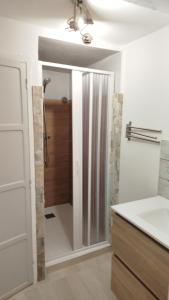 een badkamer met een douche en een wastafel bij T2 type new yorkais in Ajaccio