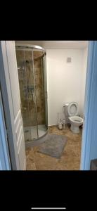 Et badeværelse på Studio 24 m2