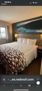 Giường trong phòng chung tại Red Roof Inn and Suites