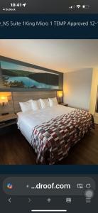 Giường trong phòng chung tại Red Roof Inn and Suites