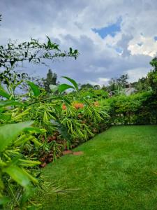 Zahrada ubytování Ritz Motel