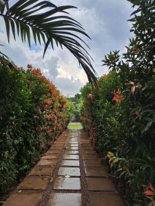 Zahrada ubytování Ritz Motel + 4 fotografie