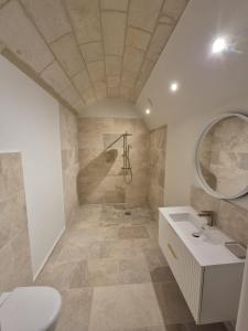 ピエールフォンにあるChâteau de la Follie Le Halloyのトイレと洗面台のあるバスルーム