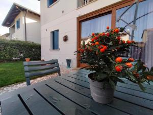 Κήπος έξω από το La tua casa meravigliosa con giardino