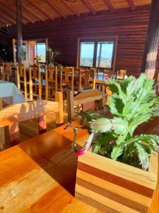 ECOLODGE PIEDRA Y AGUA في إل سوبربيو: طاولة خشبية عليها بوتقة +30 صورة