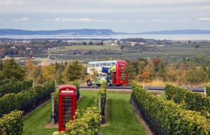 Wolfville Veranda Suite 1 Downtown Vibrancy في ولف فيل: حافلة ذات طابقين تسير على طريق به كشكان هاتف أحمران