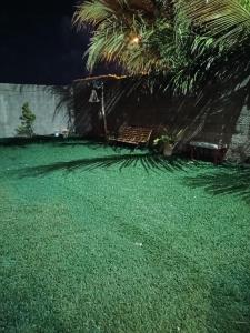 São Gonçalo do AmaranteにあるCasa"Taíba Beach House"のヤシの木が植えられた緑の芝生のある庭