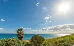 Stunning view Pool Garden AC Private parking في مارينيلا دي سيلينونتي: نخلة على شاطئ مع المحيط