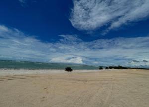 Naturlandskabet i nærheden af feriehuset