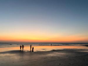 Naturlandskabet i nærheden af feriehuset