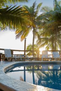 a swimming pool with chairs and palm trees in the background at West Bay Room, Pool, Fridge, Shuttle, Dive in West Bay +16 photos