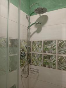 a shower head in a bathroom with windows at TABERNA ROMANA VILLA OCA b&b in Velletri +34 photos