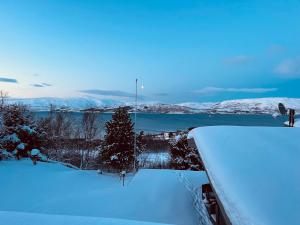 Naturlandskabet i nærheden af chaletet