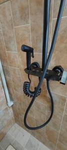 Φωτογραφία από το άλμπουμ του Exactly one minute away from Victoria Mall σε Εντέμπε