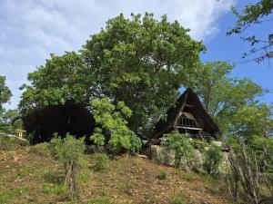 Φυσικό τοπίο κοντά σε αυτό το bed & breakfast