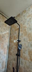 Φωτογραφία από το άλμπουμ του Exactly one minute away from Victoria Mall σε Εντέμπε +19 φωτογραφίες