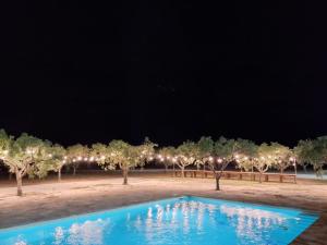 Pool Garden AC P-private في مارينيلا دي سيلينونتي: مسبح أزرق أمام الأشجار ليلاً