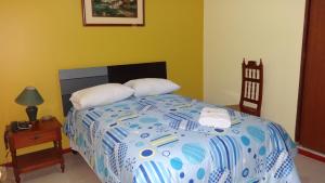 Postel nebo postele na pokoji v ubytování Hotel Las Lineas