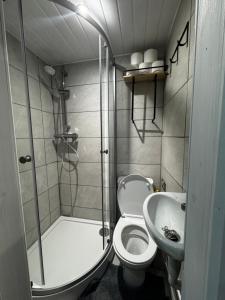 a bathroom with a shower and a toilet and a sink at Kaira's Nook in Wolverton