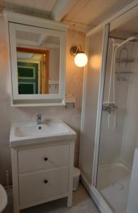 a bathroom with a sink and a shower and a mirror at Rabben Feriested in Lyngværet