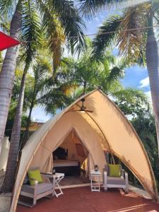 Φωτογραφία από το άλμπουμ του A Slice of Paradise σε Tapantí