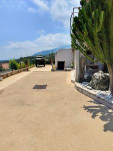 a parking lot with a cactus and a building at Paradiso Apartment 4 people in Furiani