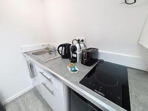 eine Küche mit einer Theke und einem Herd Oberer Backofen in der Unterkunft Le Jardin Secret Apartment in Montbéliard