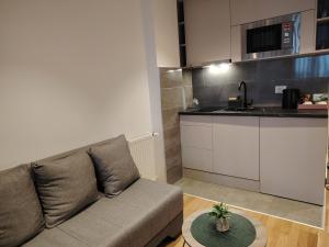 Kuchyň nebo kuchyňský kout v ubytování Harmony Dream