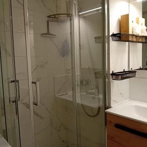 un baño con ducha y lavabo en Location T2 30m2 superdévoluy, en Le Dévoluy