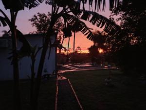Una puesta de sol en un jardín con una palmera en Che Jazmin, your haven of peace and harmony, en Itá 2 fotos más