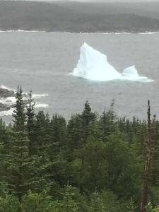 an iceberg in the water next to a group of trees at Wildnorth Hotel in St. Anthony +8 photos
