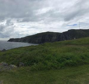 a grassy hill with the ocean in the background at Wildnorth Hotel in St. Anthony