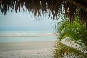 Φυσικό τοπίο κοντά σε αυτό το κάμπινγκ