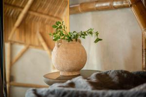 Φωτογραφία από το άλμπουμ του MUUN experience σε Ciudad del Carmen