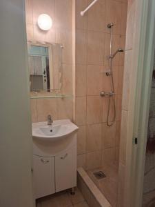 Un baño con lavabo y ducha con espejo. en Szoba kilátással apartman, en Gárdony