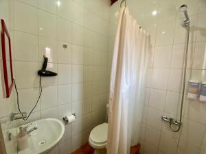 a bathroom with a shower and a toilet and a sink at Hostal Nuevo Sol y Viento in San Pedro de Atacama