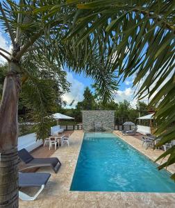 una piscina con sedie e una palma di Villa refugio de paz a Bayaguana