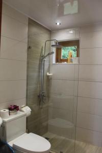 un bagno con wc e doccia in vetro di Villa refugio de paz a Bayaguana