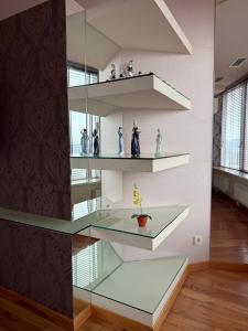 een glazen plank met beeldjes erop in een kamer bij Мост сити АПП 138 ЛЮКС in Dnipro