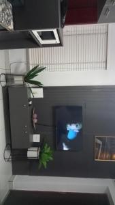 TV a/nebo společenská místnost v ubytování Eko T Homes best location to access the island