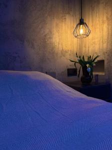 ein Schlafzimmer mit einem Bett mit einer blauen Bettdecke und einer Lampe in der Unterkunft Tyla dviese in Kaciūniškiai + 11 Fotos