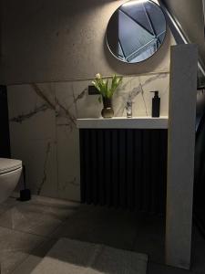 ein Badezimmer mit Waschbecken und Spiegel an der Wand in der Unterkunft Tyla dviese in Kaciūniškiai